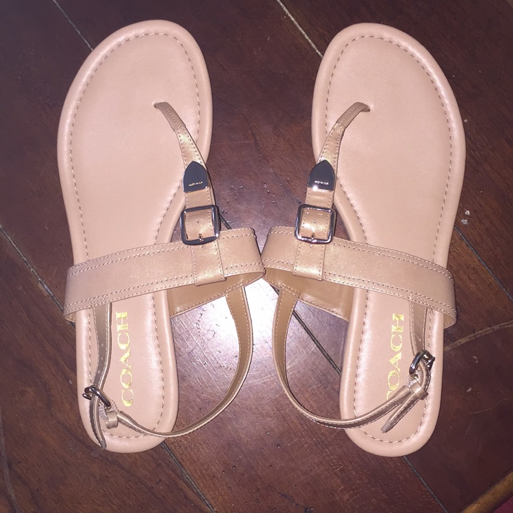 Coach sandals